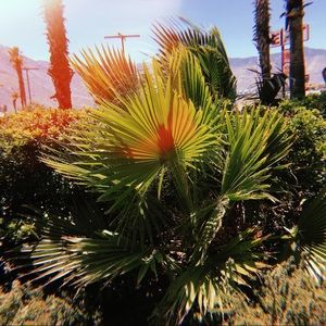 Meet your Posher, Kylie